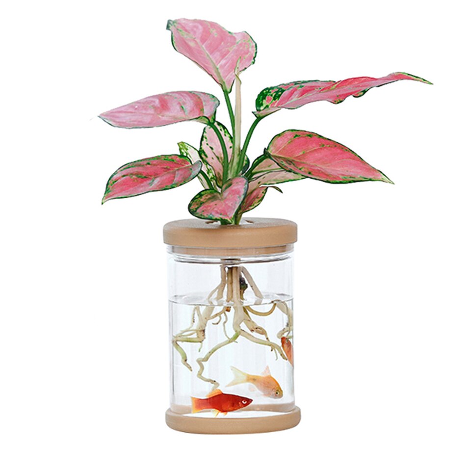 Mini Hydroponic planten pot - Transparante pot - Voor extra snelle groei! - Moderne plantenpot - Zonder aarde - thuis decoratie