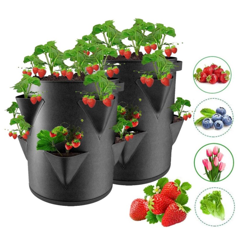 Aardbei grow bags - voor allerlei fruit en groente  - de lente komt eraan -  zakken voor tuin aardbeien, kruiden, bloemen, bessen - groen en zwart -