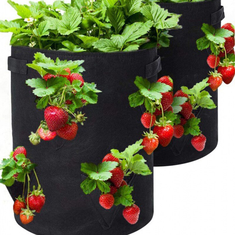 Aardbei grow bags - voor allerlei fruit en groente  - de lente komt eraan -  zakken voor tuin aardbeien, kruiden, bloemen, bessen - groen en zwart -