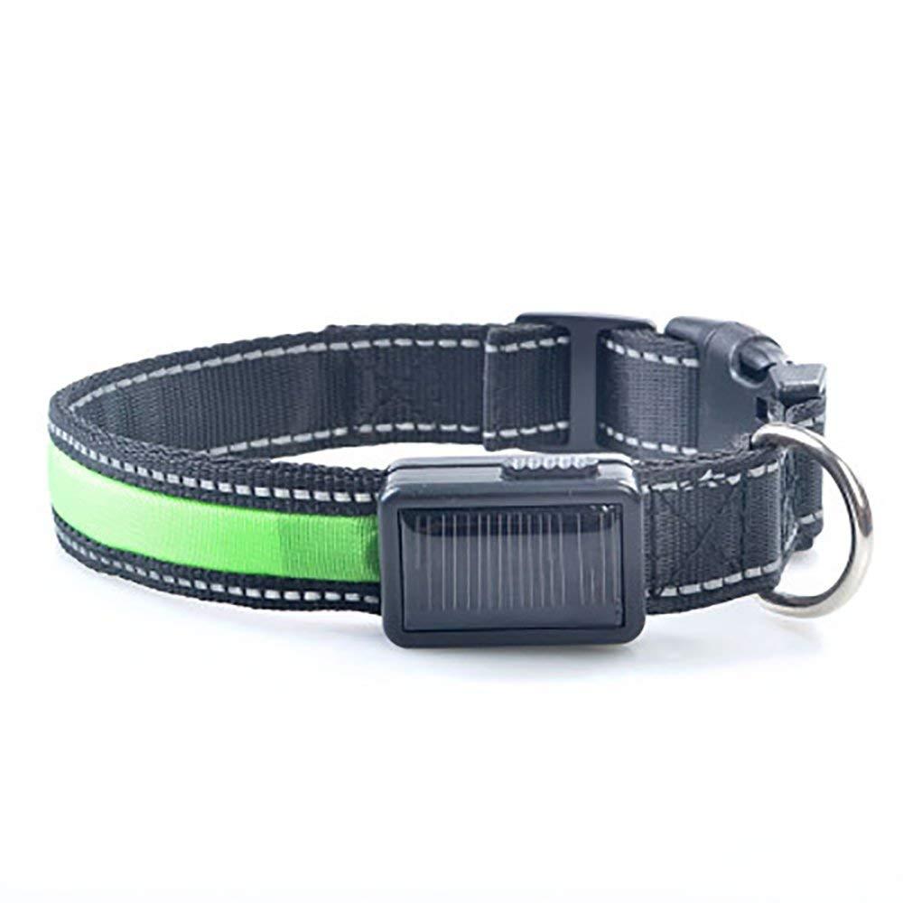 smart solar power usb opladen elektronische led knipperlicht veilig nylon honden halsband voor anders