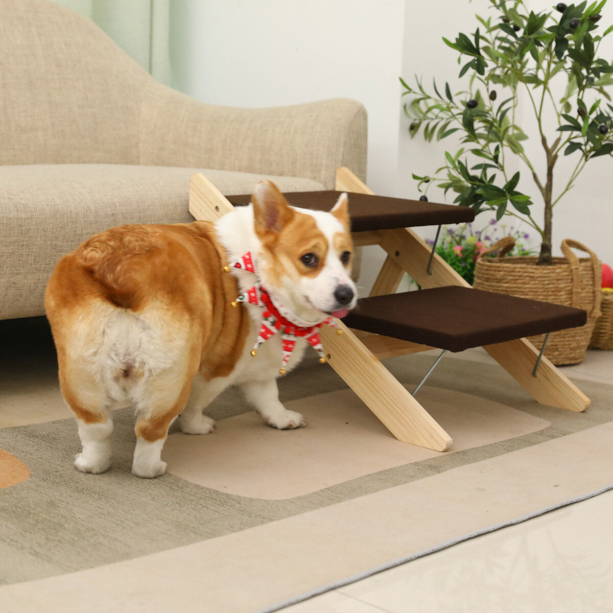 2-in-1 draagbare opvouwbare veiligheidstrap voor honden en katten stappenladder puppybenodigdheden