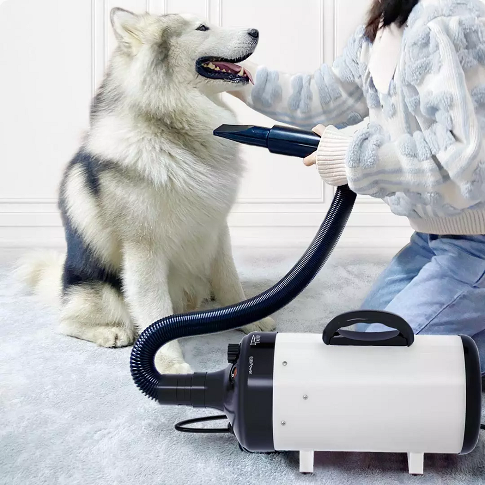 jase pd9001 huisdier blazen machine 2200 w geluidsarm wam wind huishoudelijke kat hond snelle föhn voor dierbenodigdheden grooming