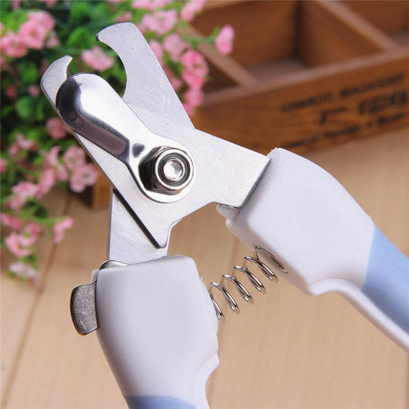 huisdier nagelknipper cutter voor honden katten vogels klauwen schaar gesneden met bestand dier kat nagelknipper hond grooming gereedschap