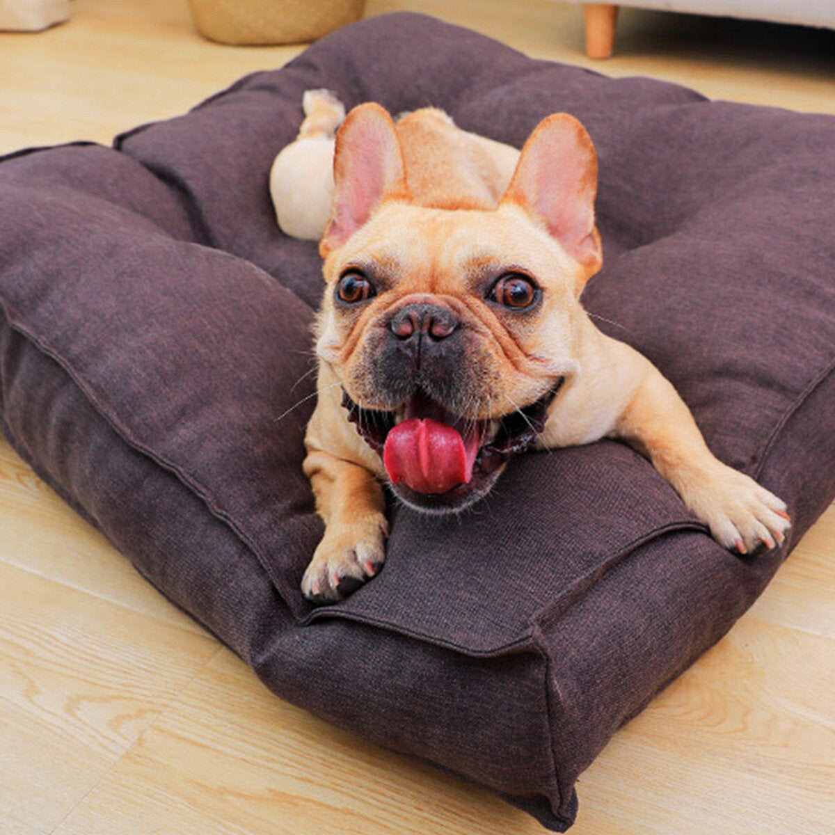 huisdier kalmerende bed soft warm kat hondenhuis kleine grote wasbare mat afneembare puppy benodigdheden 120x120x12cm