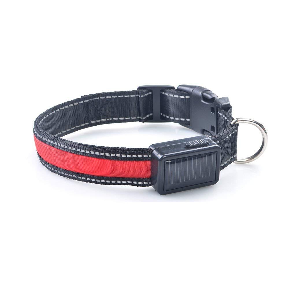 smart solar power usb opladen elektronische led knipperlicht veilig nylon honden halsband voor anders