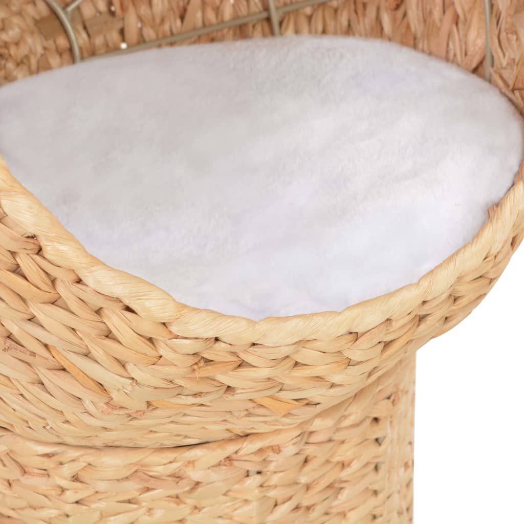 kattenmand zeegras