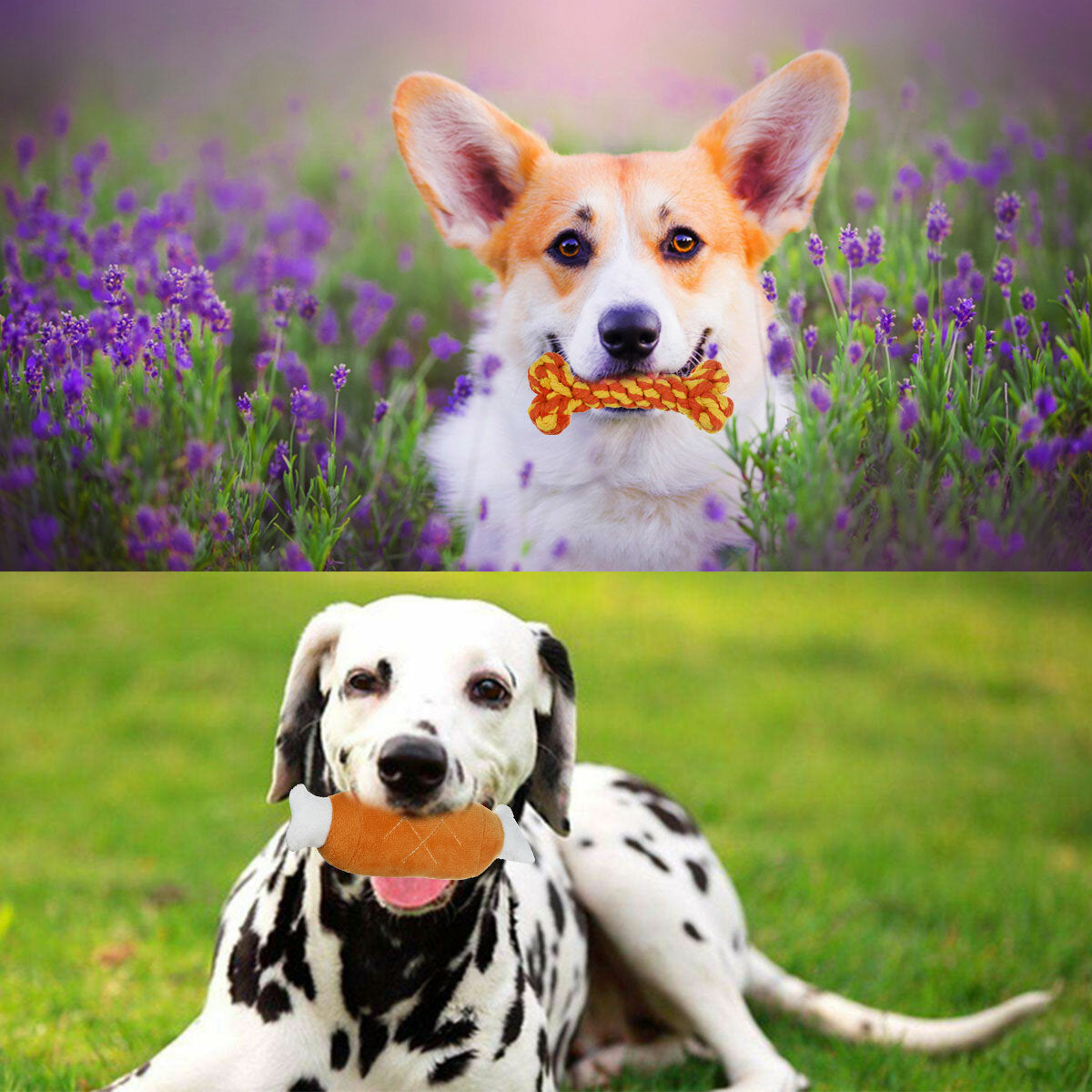 12x diverse honden puppy huisdier speelgoed touwen kauwbal knoop training speelbundel katoen