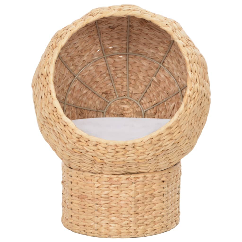kattenmand zeegras