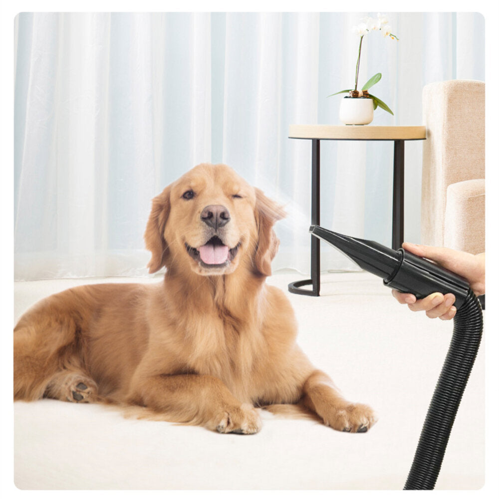 jase pd9001 huisdier blazen machine 2200 w geluidsarm wam wind huishoudelijke kat hond snelle föhn voor dierbenodigdheden grooming