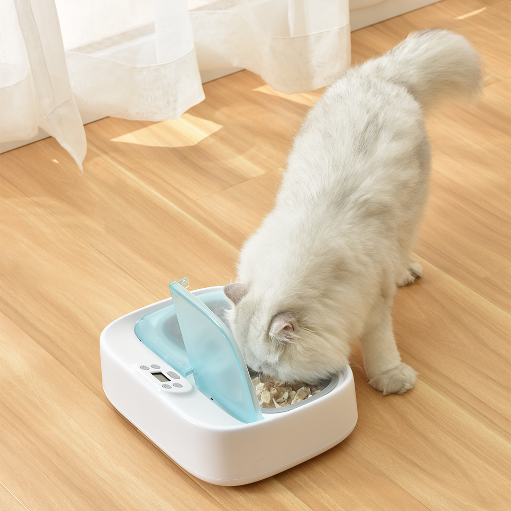 petoneer pf003 twee-maaltijd huisdier feeder smart puppy intelligente hond benodigdheden scheidbare kat dubbele kommen timing schotel voeden
