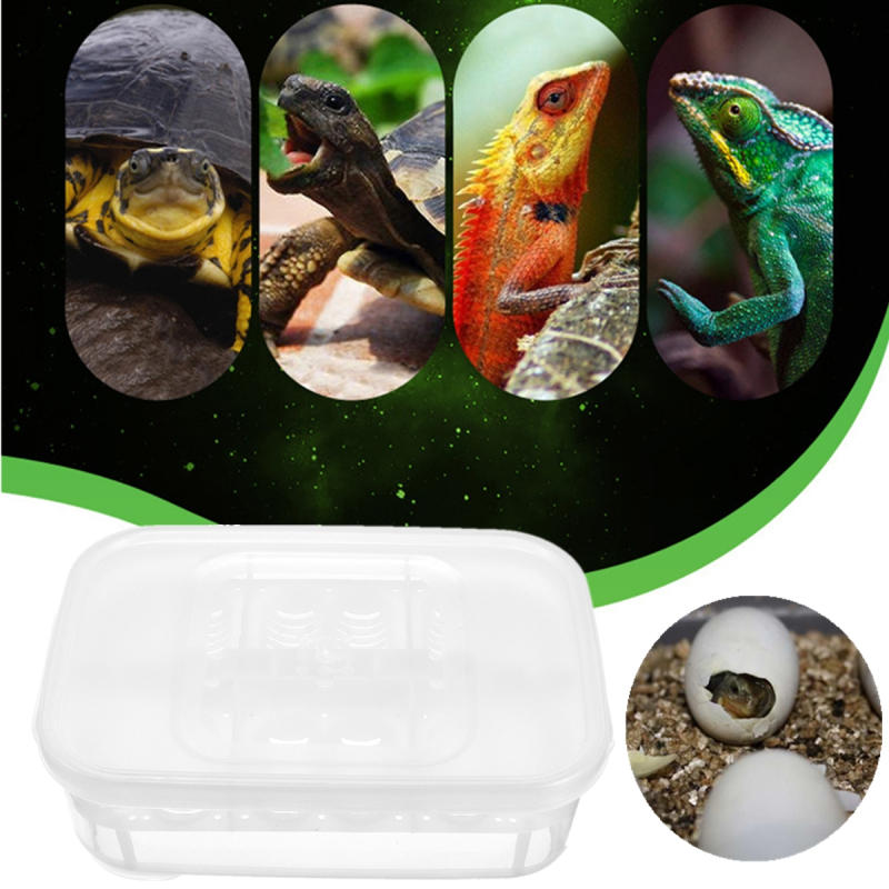 12 reptielen eieren broedbak gekko slang vogel amfibieën uitkomen case kweekgereedschap box