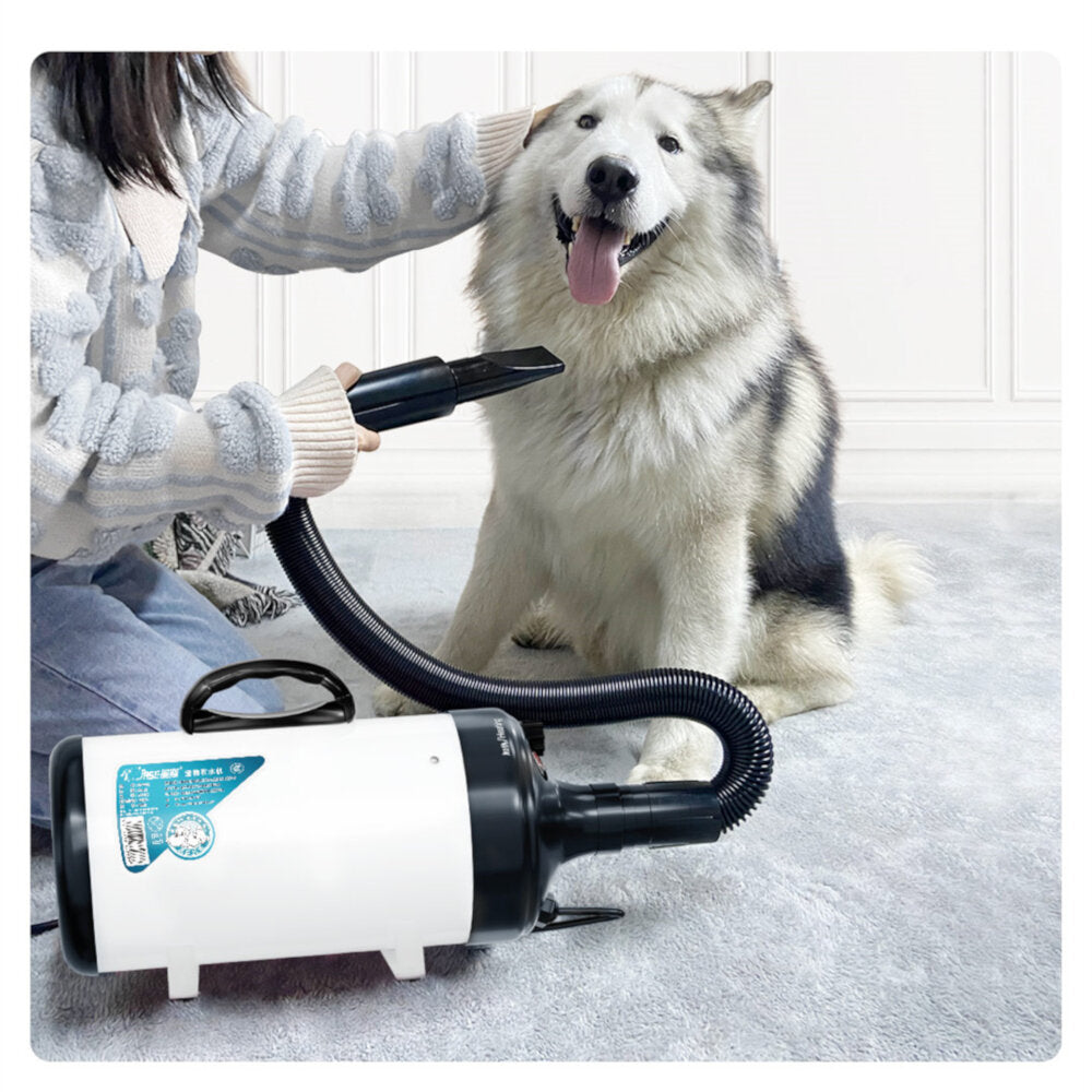 jase pd9001 huisdier blazen machine 2200 w geluidsarm wam wind huishoudelijke kat hond snelle föhn voor dierbenodigdheden grooming