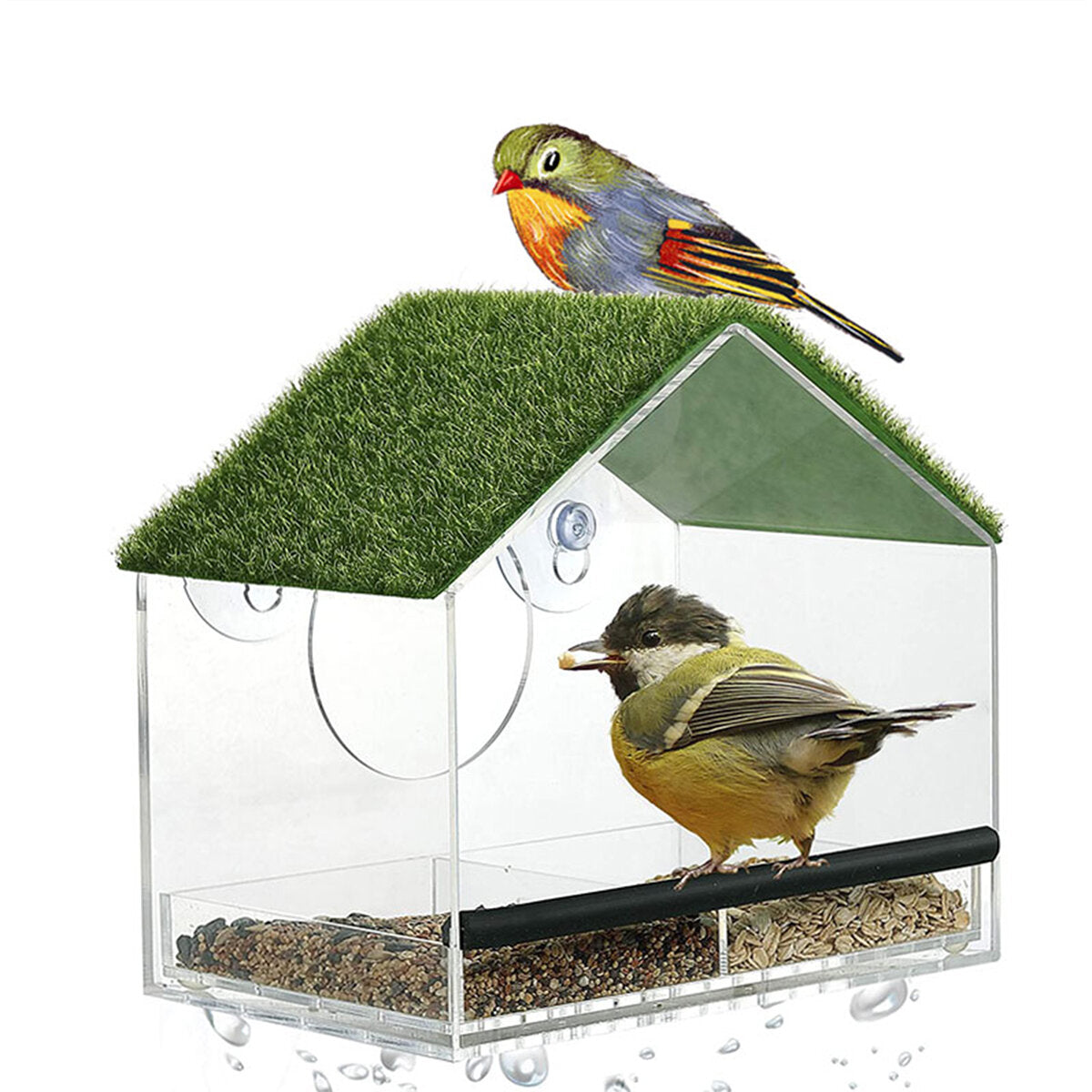 plastic clear pet bird seed food feeder voor papegaai valkparkiet kanarievink 20cm