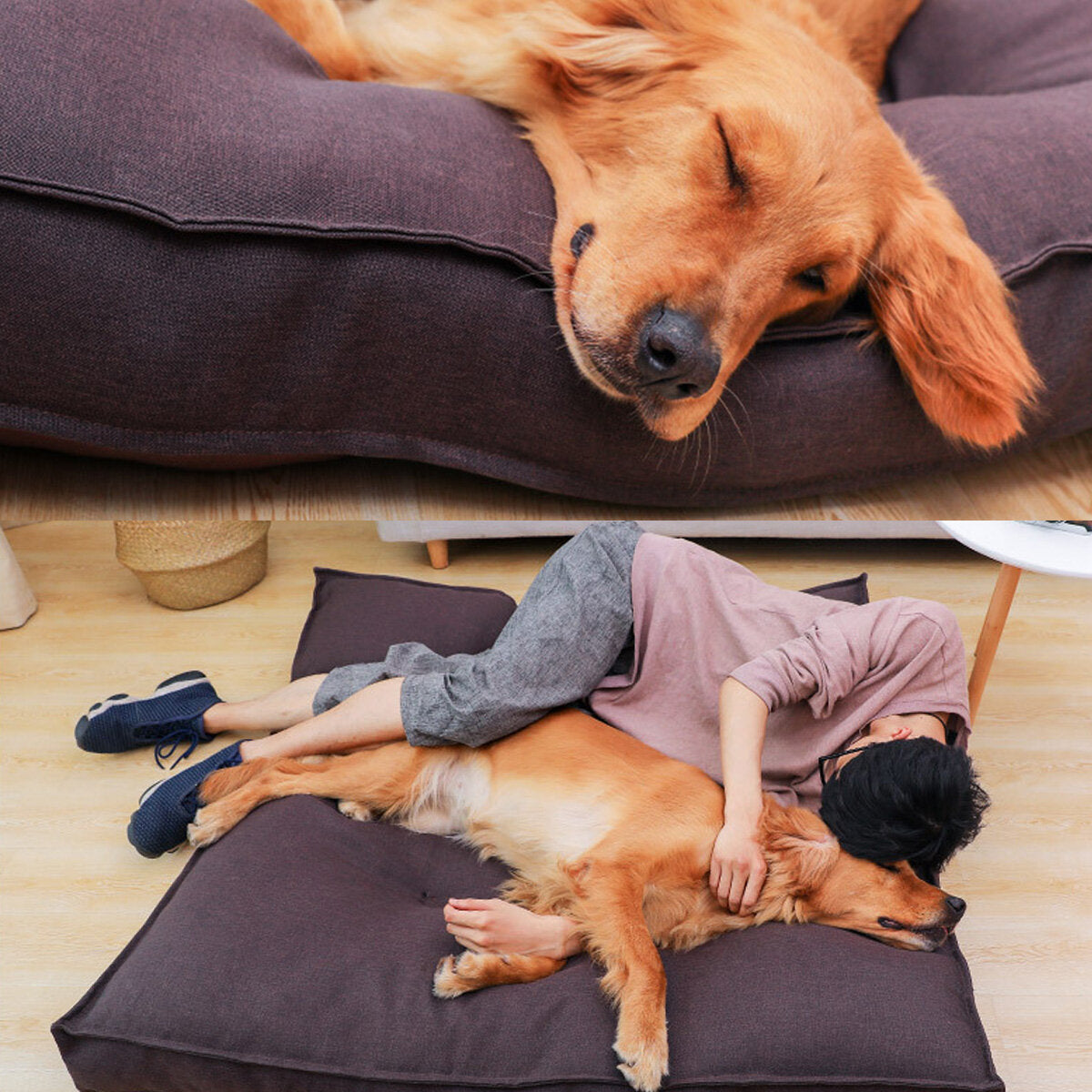 huisdier kalmerende bed soft warm kat hondenhuis kleine grote wasbare mat afneembare puppy benodigdheden 120x120x12cm