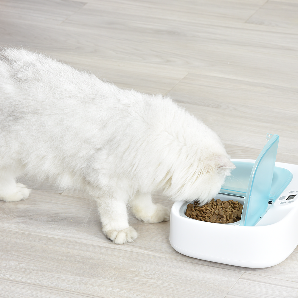 petoneer pf003 twee-maaltijd huisdier feeder smart puppy intelligente hond benodigdheden scheidbare kat dubbele kommen timing schotel voeden