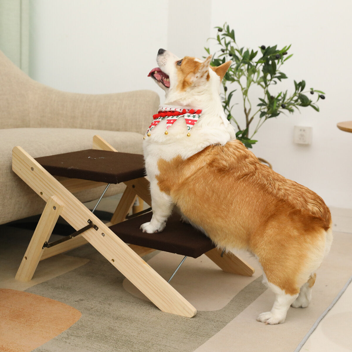 2-in-1 draagbare opvouwbare veiligheidstrap voor honden en katten stappenladder puppybenodigdheden