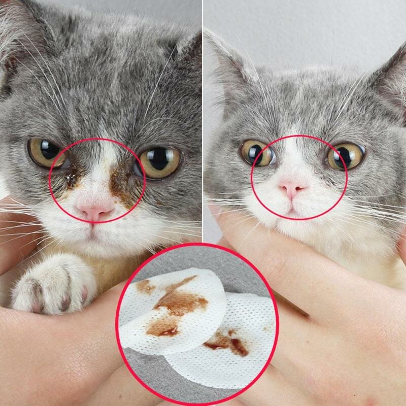 100 stuks /set non-woven professionele reiniging hypoallergene doekjes voor huisdier natte doekjes kat hond traan vlek remover schoonmaakpapier handdoeken remover zand en schoonmaakproducten