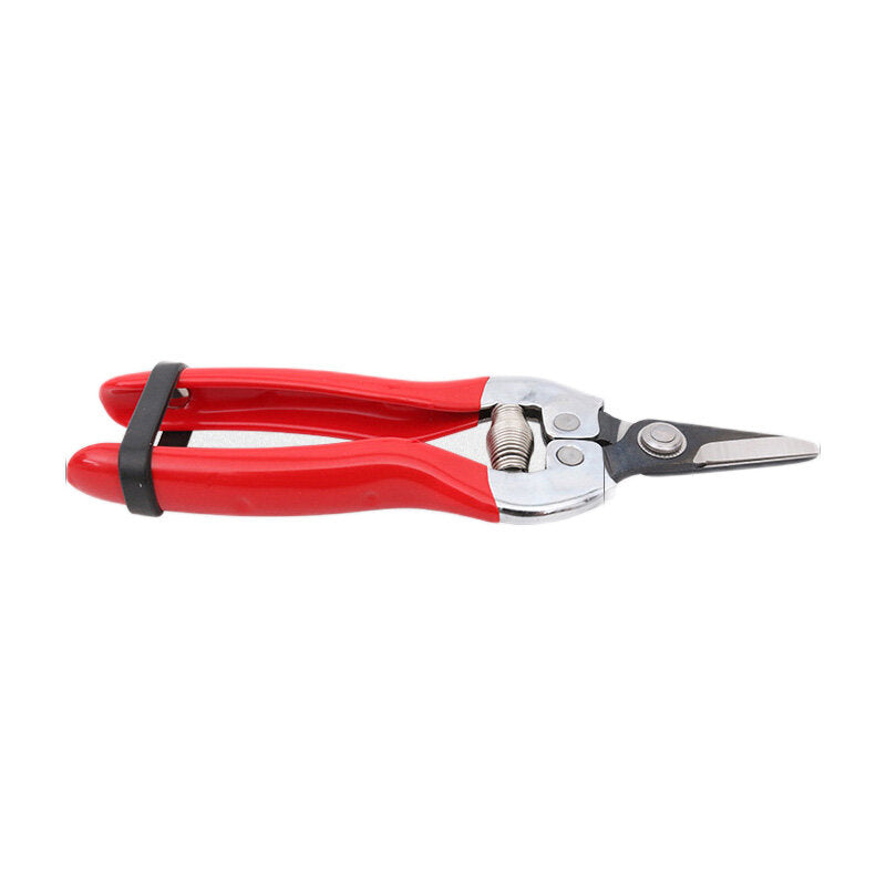 1 stuks sakawada 908 tuin snoeischaar plant cutter bloem fruit druif schaar: