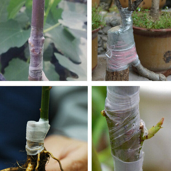 hg-gt4 100m bloem groente enten tape tuin afbreekbare planten zaailing gereedschap