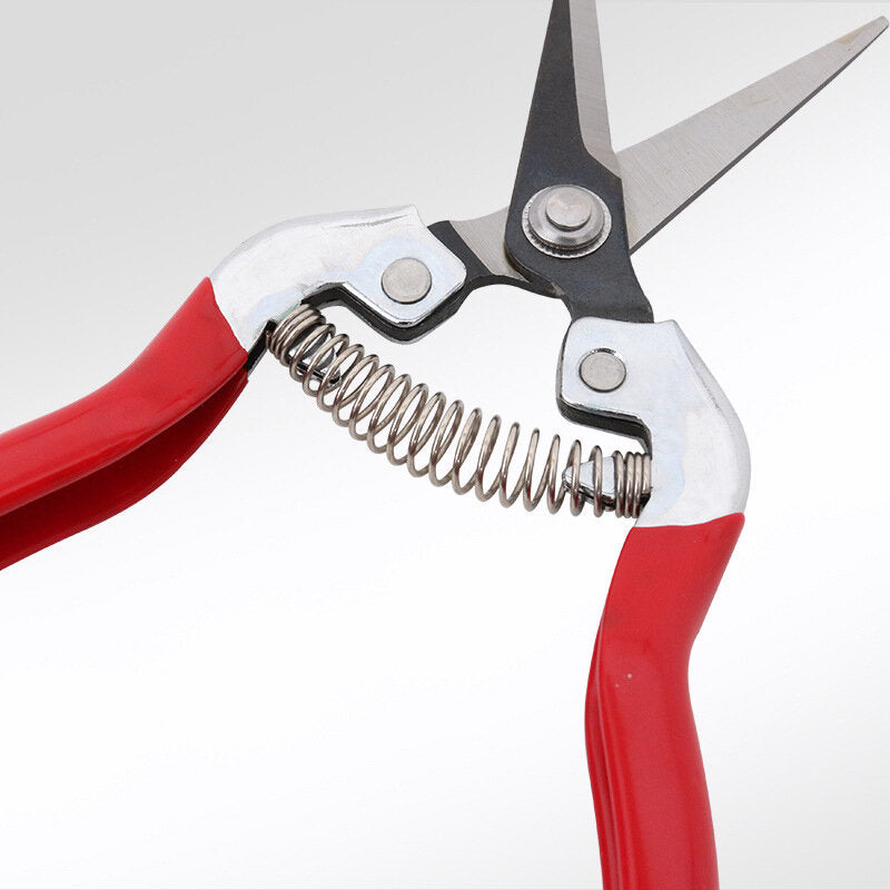 1 stuks sakawada 908 tuin snoeischaar plant cutter bloem fruit druif schaar: