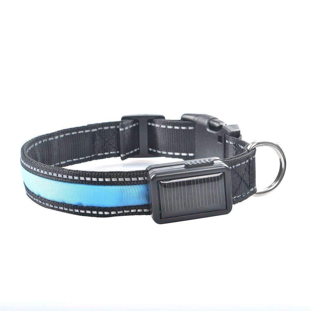 smart solar power usb opladen elektronische led knipperlicht veilig nylon honden halsband voor anders