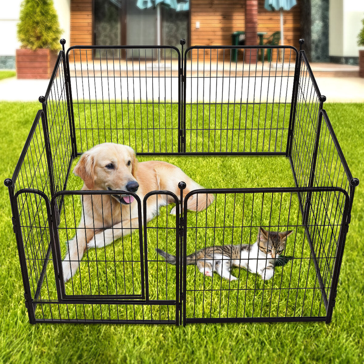 pawgiant hondenpen 8 panelen 40 hoogte rv hondenomheining buitenboxen oefenpen voor honden metalen beschermen ontwerppalen opvouwbare barrière met deur