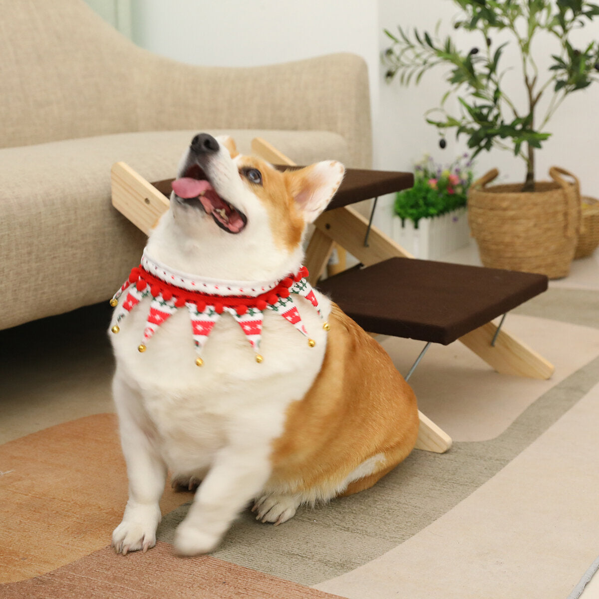 2-in-1 draagbare opvouwbare veiligheidstrap voor honden en katten stappenladder puppybenodigdheden
