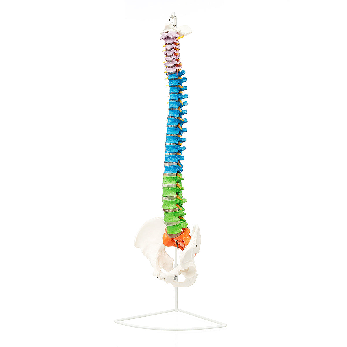 JIABAOZ Spinesaurus Plush Dino Outfit, Spinosaurus Costume,Squelette 3Dde dinosaure, Costume de cosplay réaliste pour Halloween, Spinosaure en peluche pour fêtes (115cm/45.3in JIABAOZ Spinesaurus Plush Dino Outfit, Spinosaurus Costume,Squelette 3Dde dinosaure, Costume de cosplay réaliste pour Halloween, Spinosaure en peluche pour fêtes (115cm/45.3in