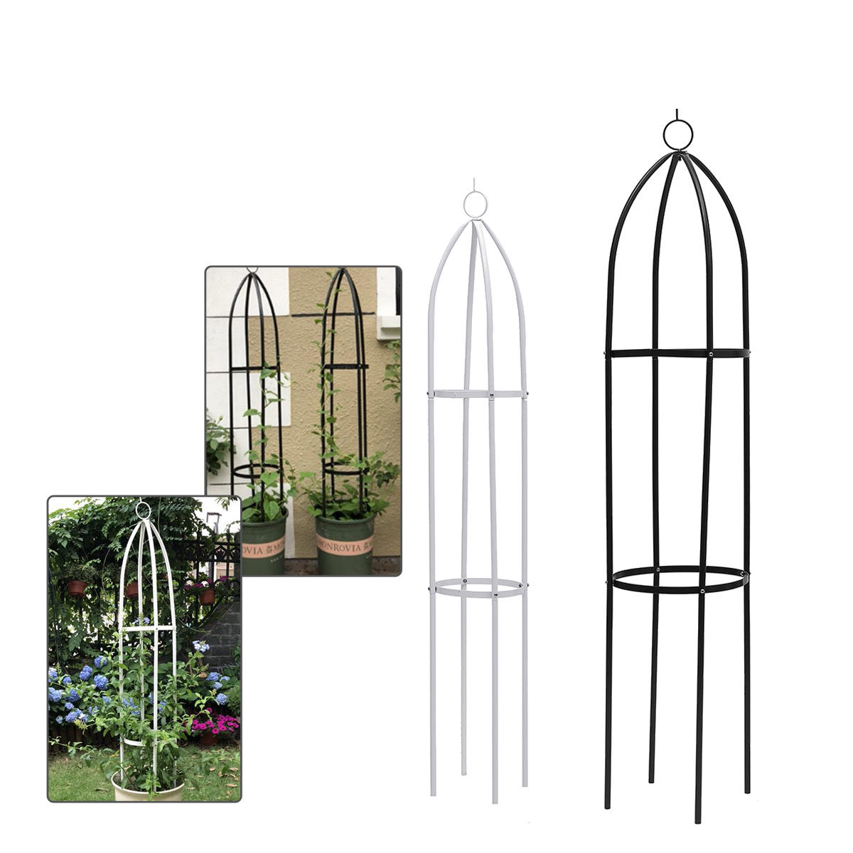 tuinplant bloem wijnstokrek klimplanter trellis ondersteuning metalen framebeugel displaystandaard