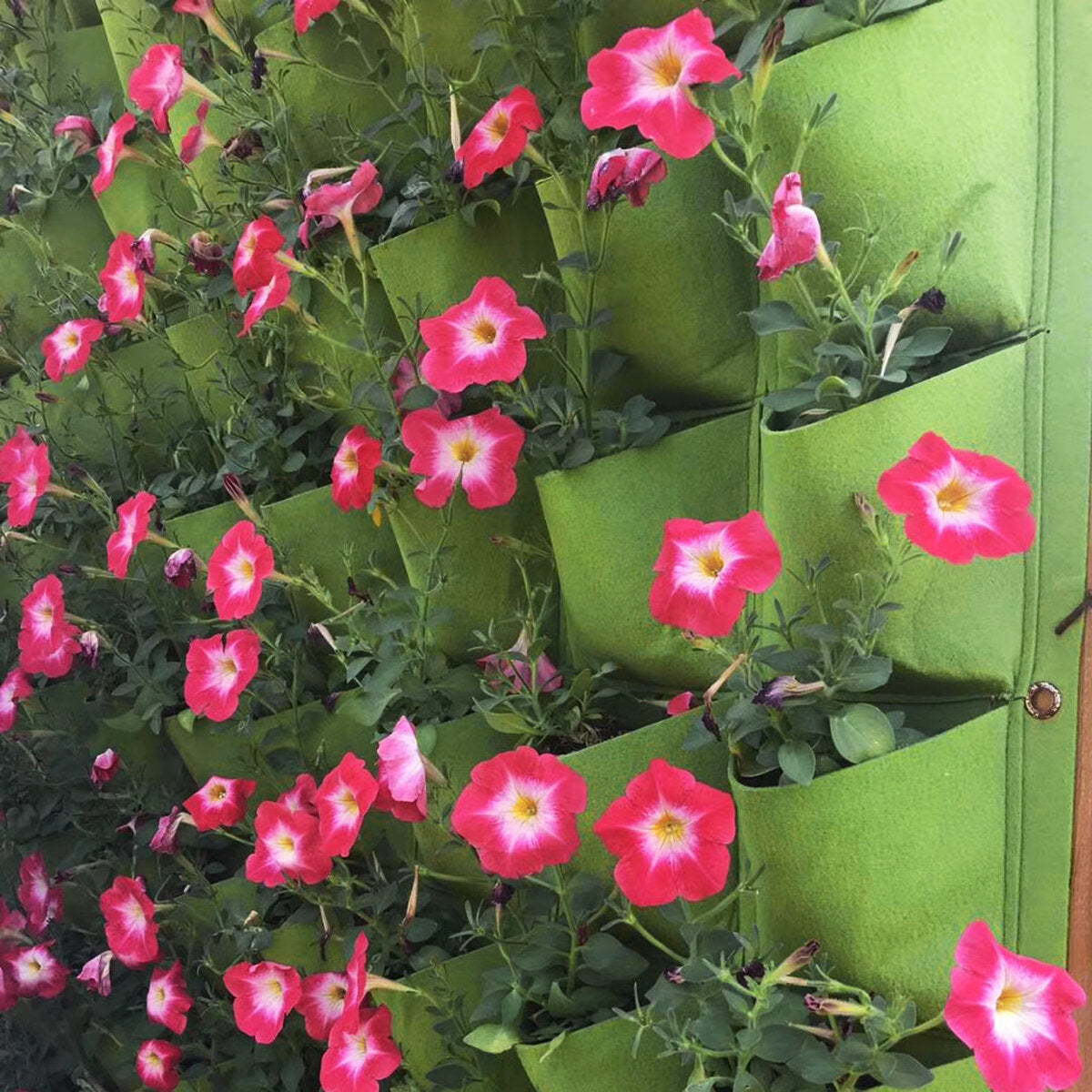 72 pocket verticale vergroening hangende muur tuin plantzakken muur planter nieuw