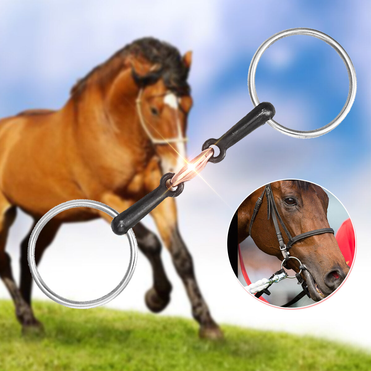 105/115/125 mm roestvrijstalen paardenmondring met enkel bit. paardensporttrens