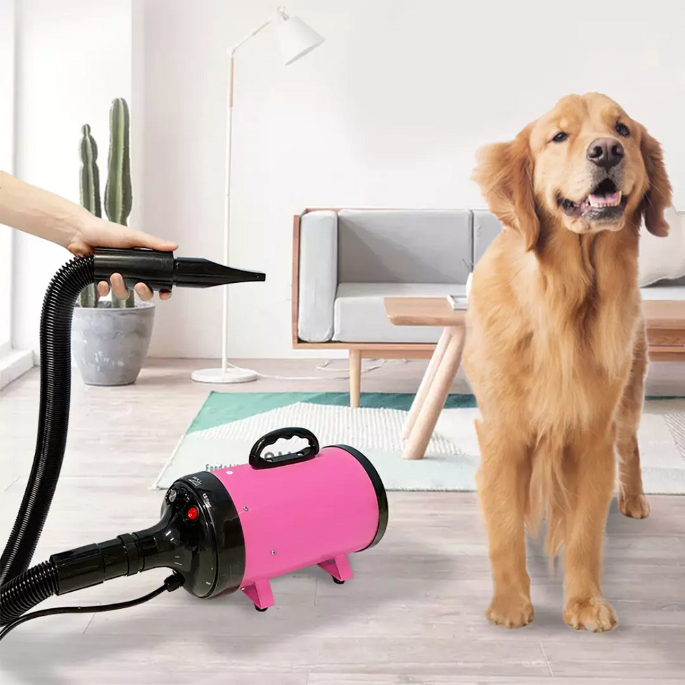 jase pd9001 huisdier blazen machine 2200 w geluidsarm wam wind huishoudelijke kat hond snelle föhn voor dierbenodigdheden grooming