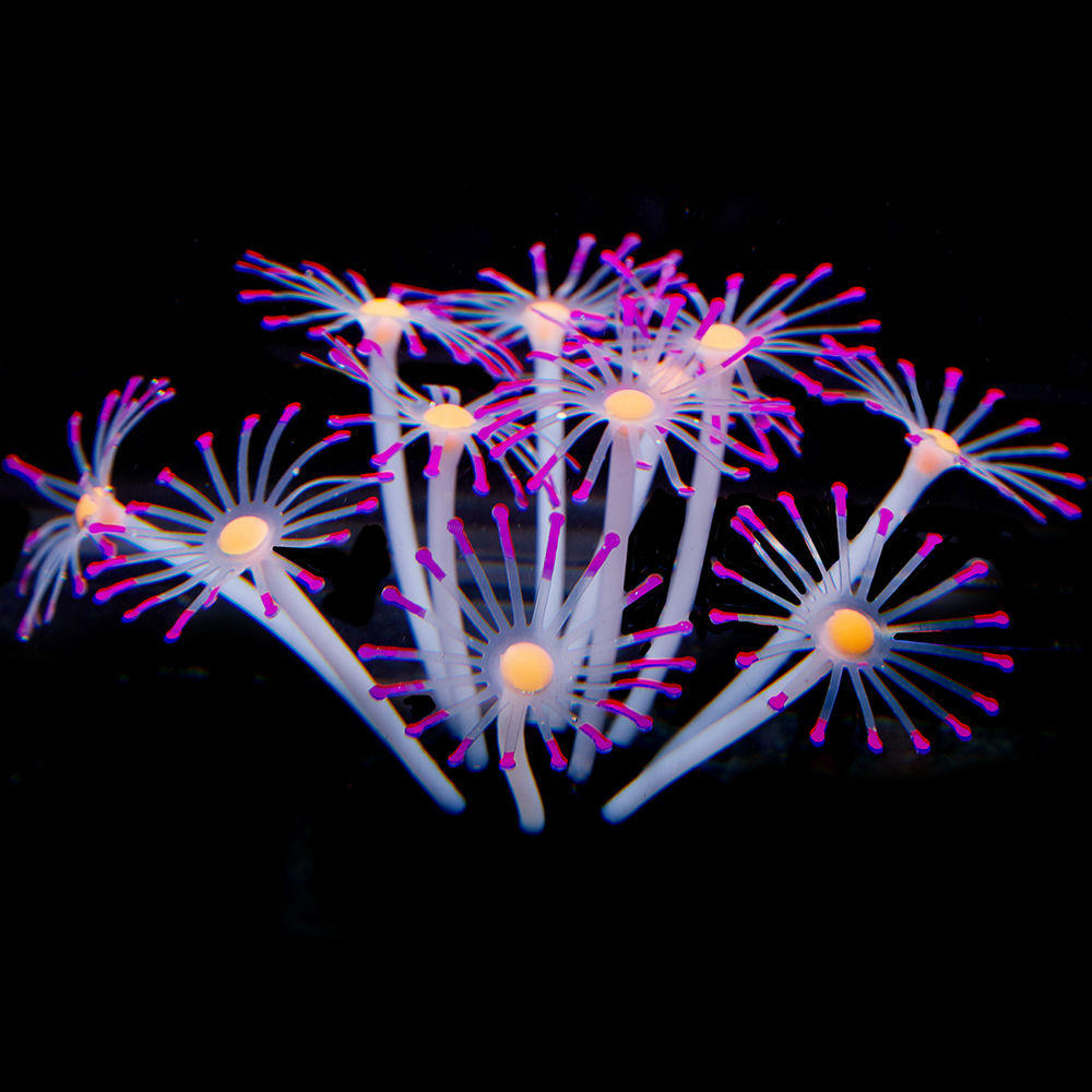 silicone gloeiende kunstmatige aquarium aquarium coral planten ornament onderwater huisdieren decor