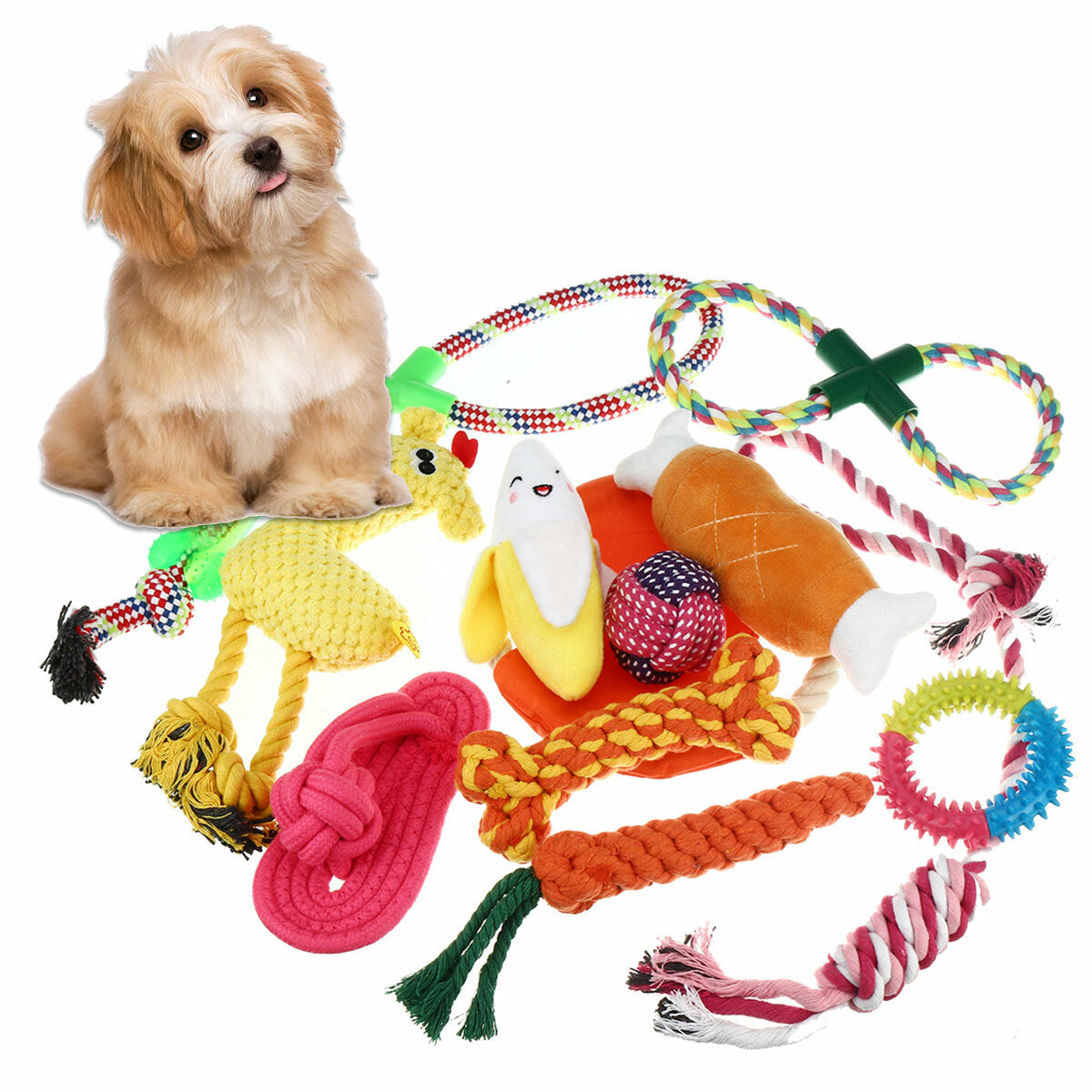 12x diverse honden puppy huisdier speelgoed touwen kauwbal knoop training speelbundel katoen